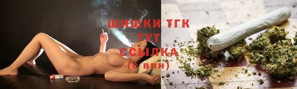ешки Горняк