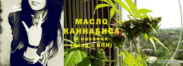 ешки Горняк