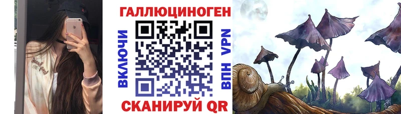 кракен ТОР  Озёрск  Псилоцибиновые грибы GOLDEN TEACHER 